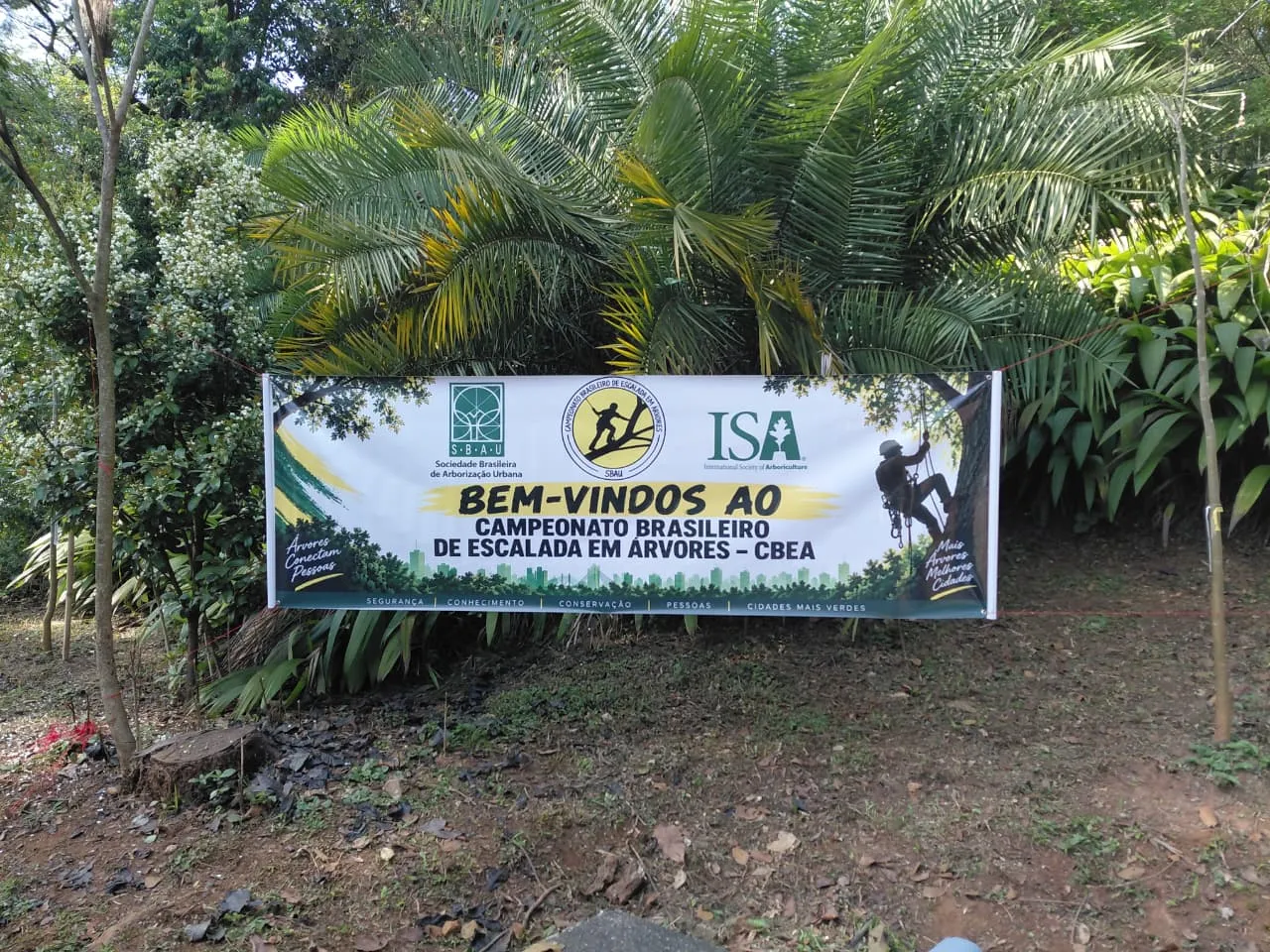 CBEA 2026 – Campeonato Brasileiro de Escalada em Árvores