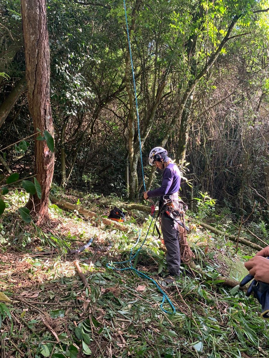 Arborista preparando cordas e equipamentos no solo