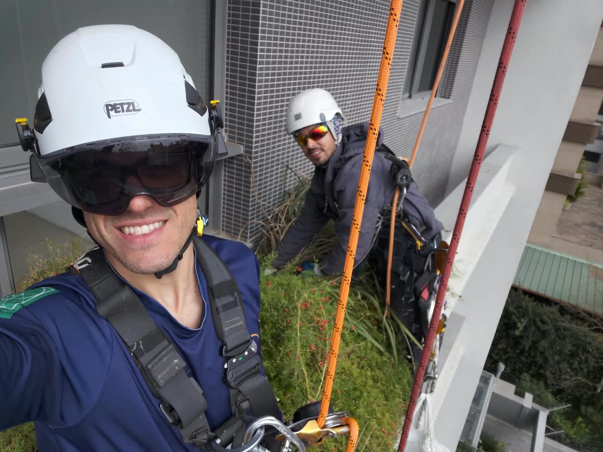 Equipe em acesso por cordas fazendo a manutenção do jardim vertical