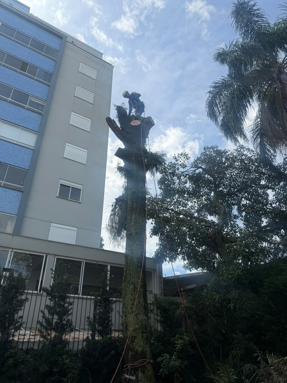 Remoção de Árvores
