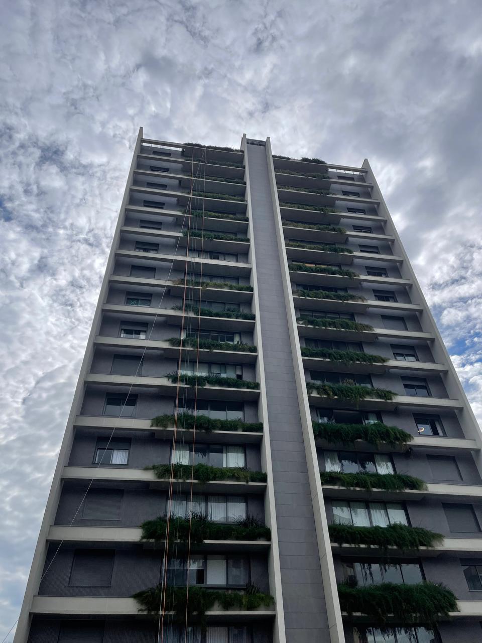 Manutenção de Poda e Adubação em Jardim Vertical - Cliente: Seen Boa Vista